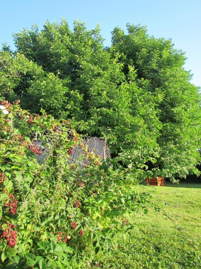 Pod Orehi Bed & Breakfast Postojna Exterior photo